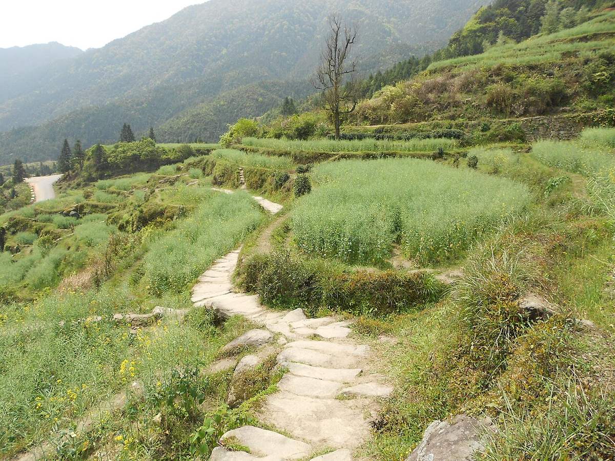 Why Visit Jiangxi? China's Underrated Gem